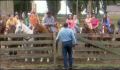 dr dolittle 3-avi_800.jpg